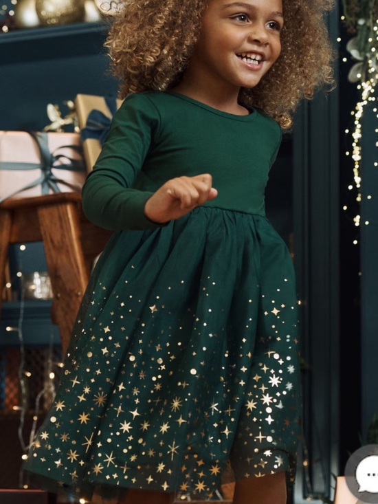 Hanna Andersson Other - Long Sleeve Shimmer Tulle Dress